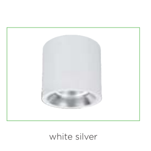White Silver